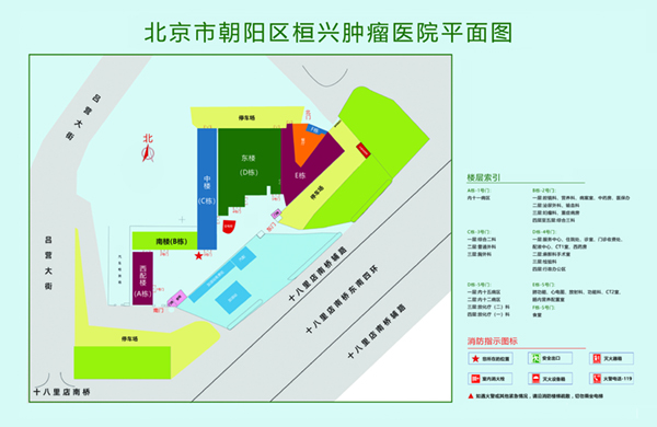 小鲜肉日屄视频北京市朝阳区桓兴肿瘤医院平面图